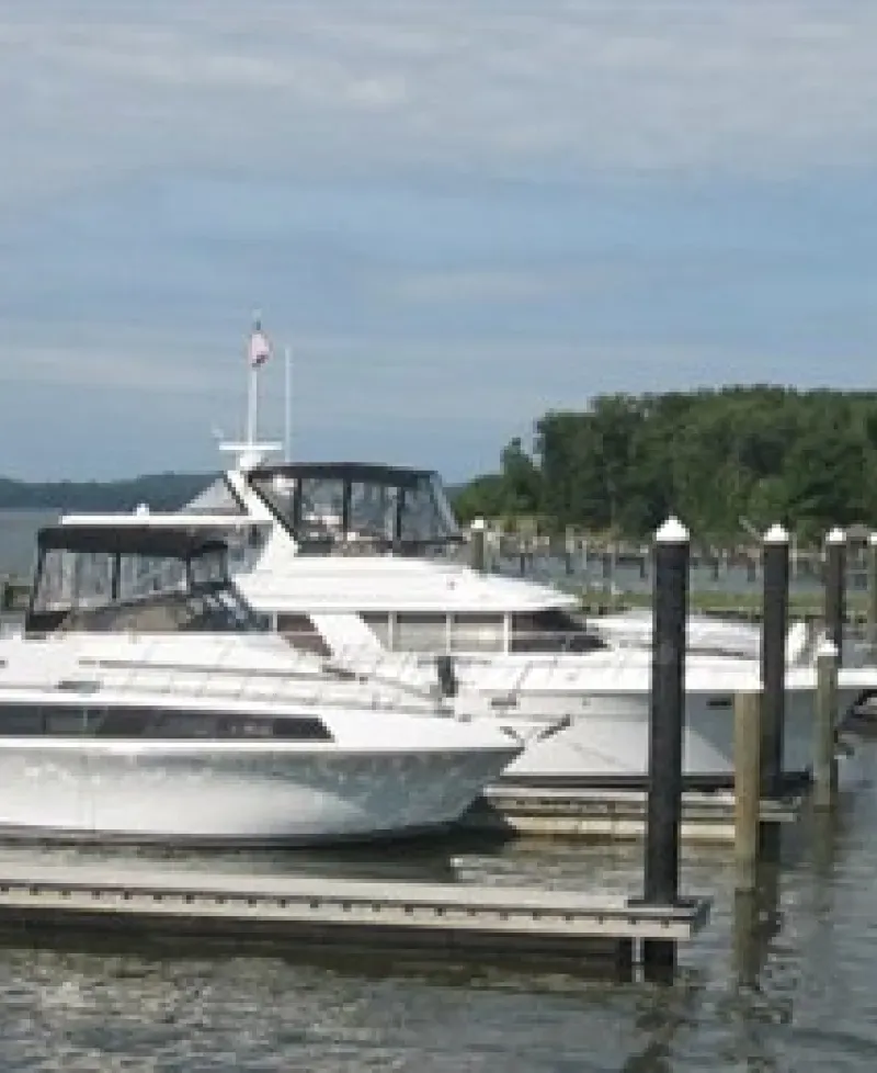 Brewer Bohemia Vista Marina Photo
