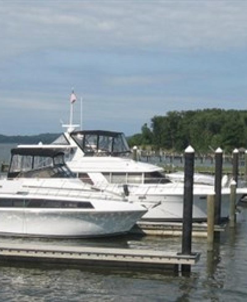 Brewer Bohemia Vista Marina Photo