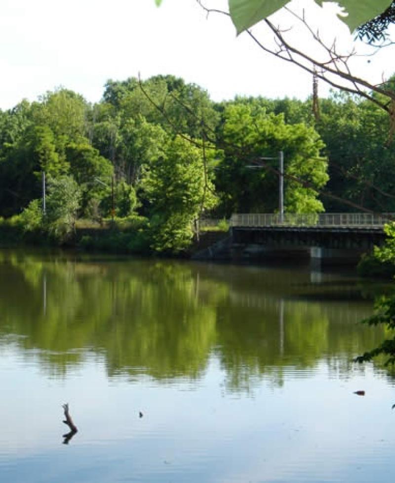 Lake Roland Park Photo