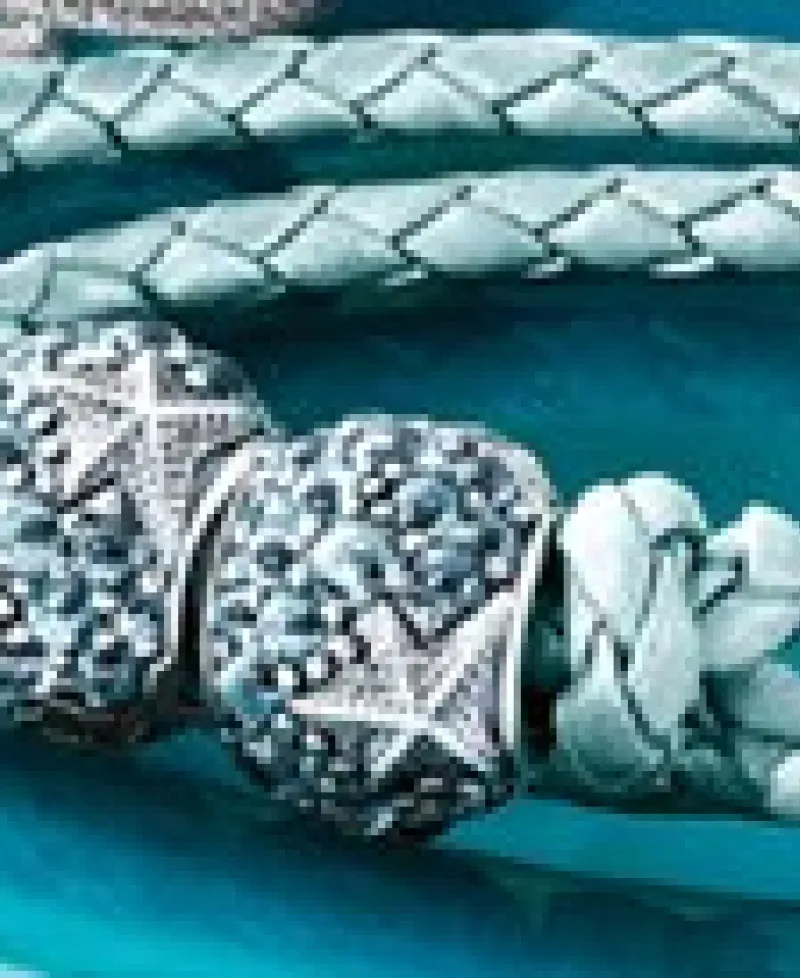 Pandora bracelet Photo