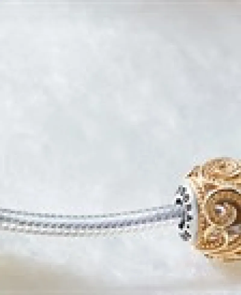Pandora bracelet Photo