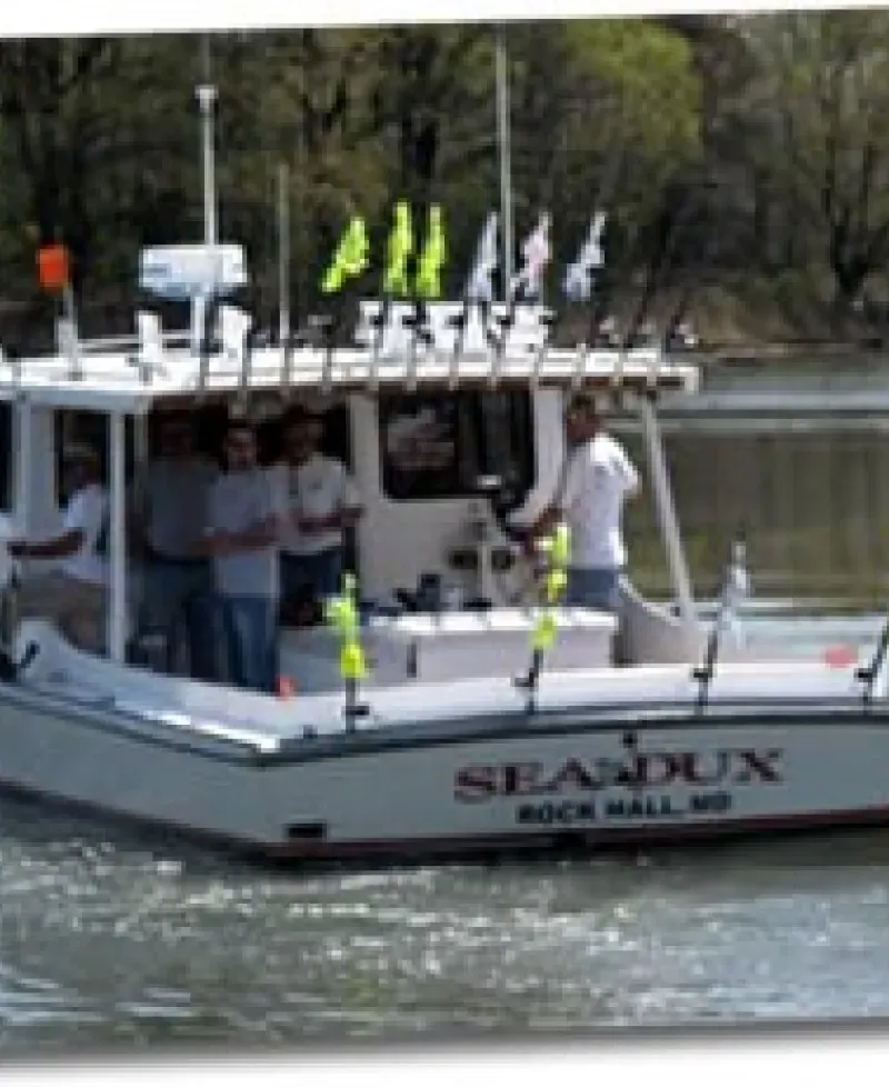 Sea Dux Photo