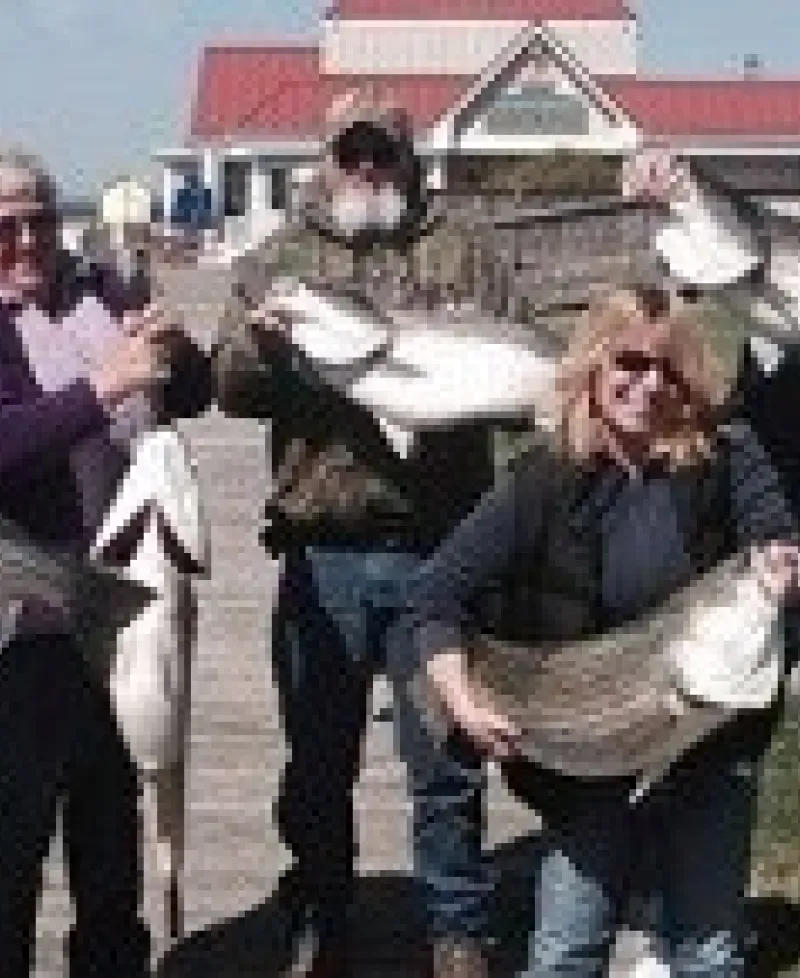 People holding up good looking fishes Photo