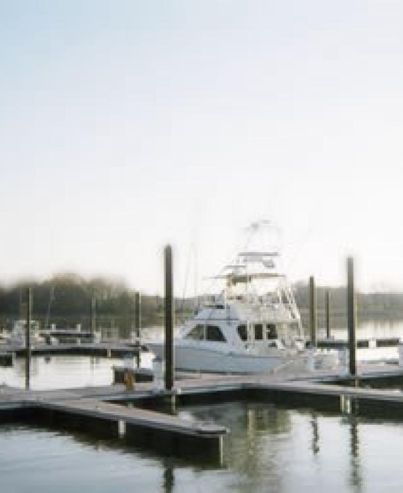 Queen Anne Marina Photo