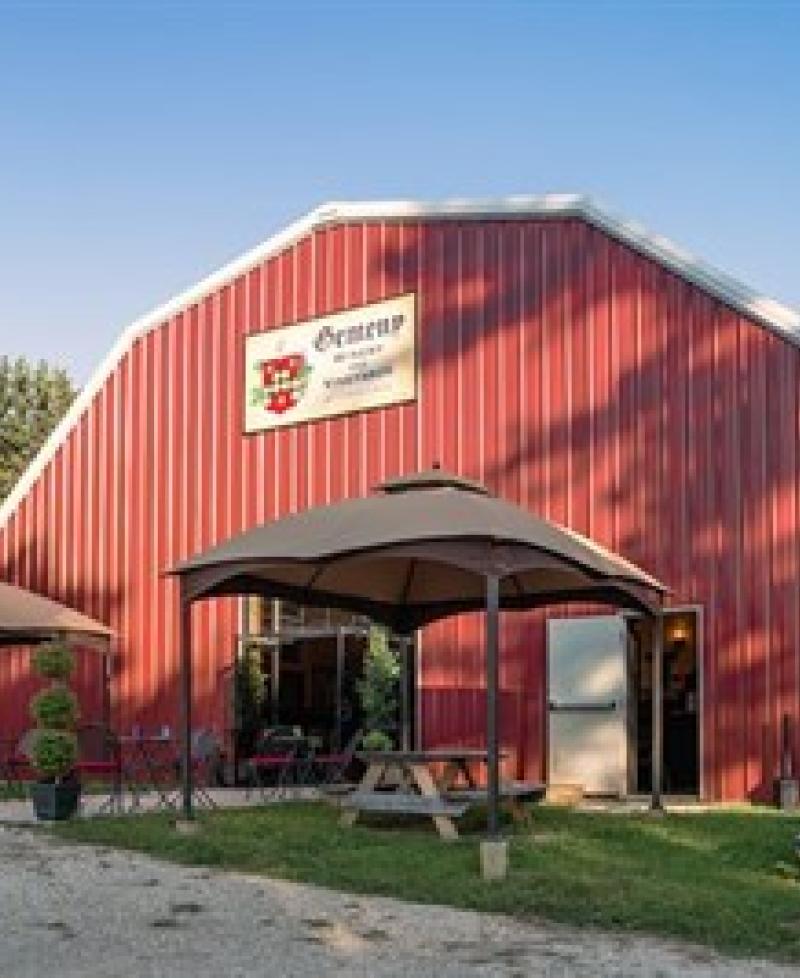 Gemeny Winery and Vineyard  Photo