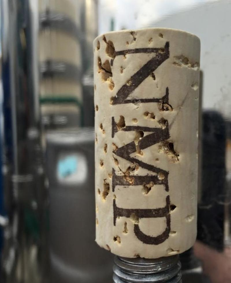 New Market Plains Vineyard Photo