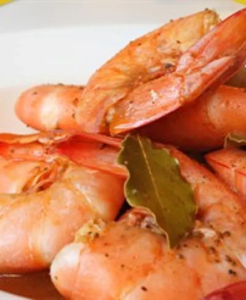 Shrimp Photo