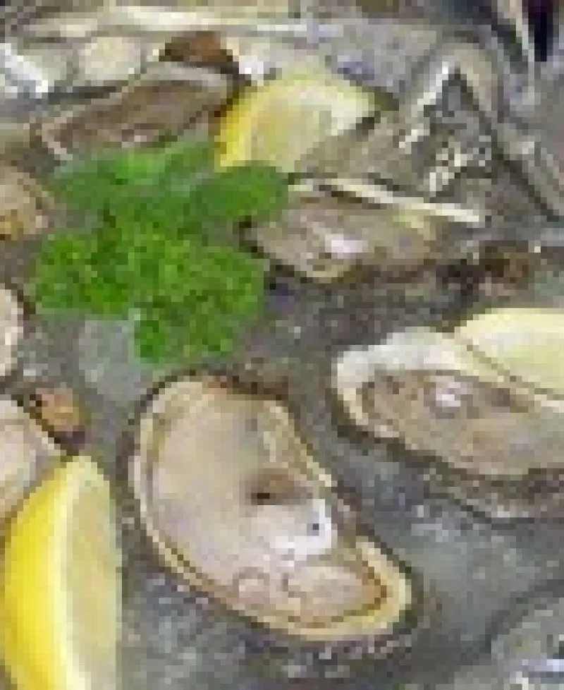Shucked oysters Photo