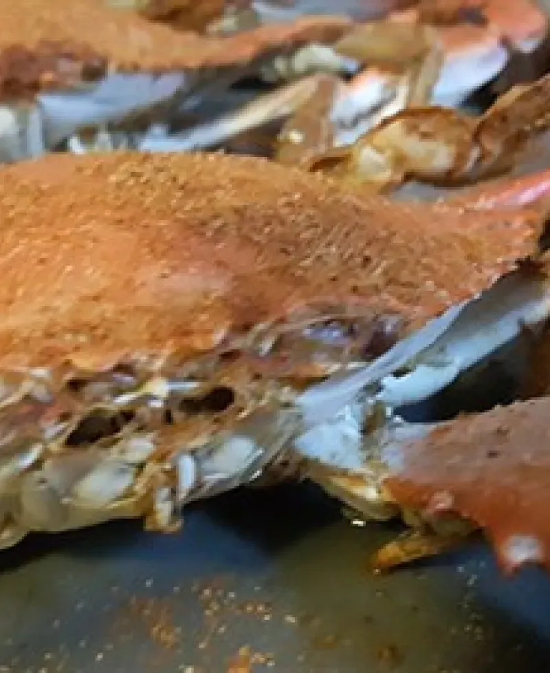 crab Photo