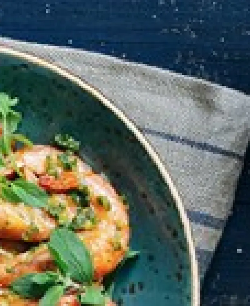 Shrimp Photo