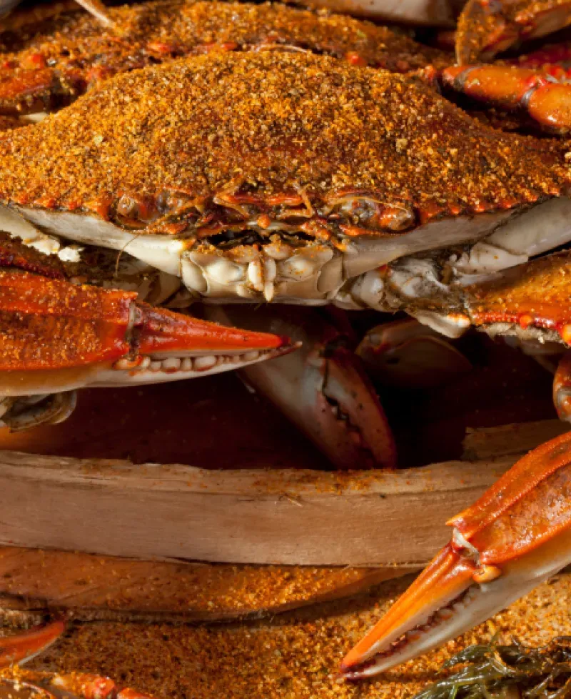 Steamed crabs Photo