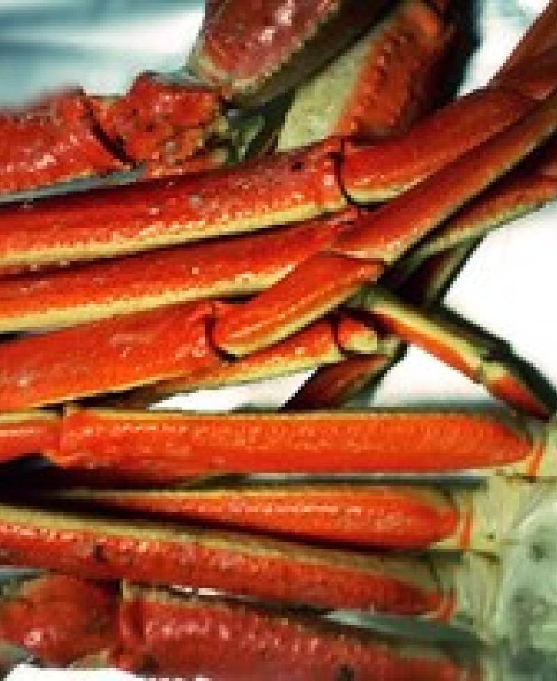 Snow crab legs Photo