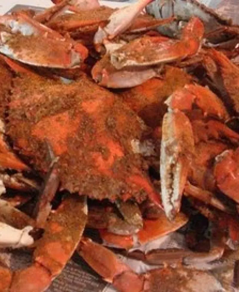 Steamed crabs Photo