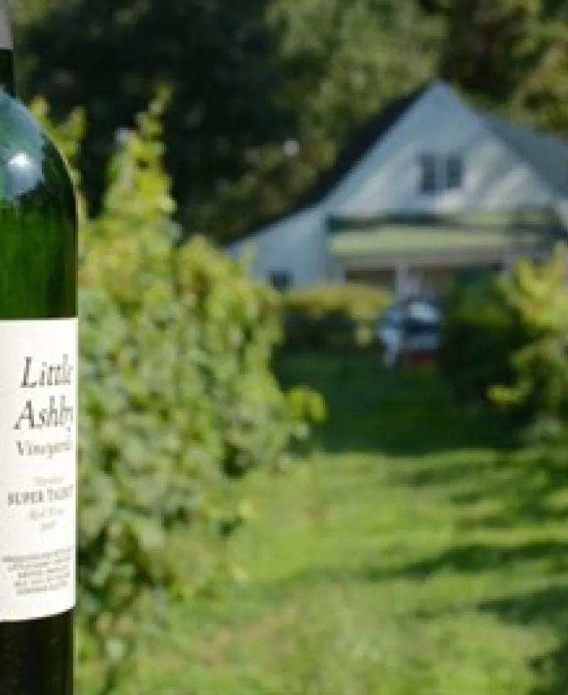 Wine at Little Ashby Vineyards Photo