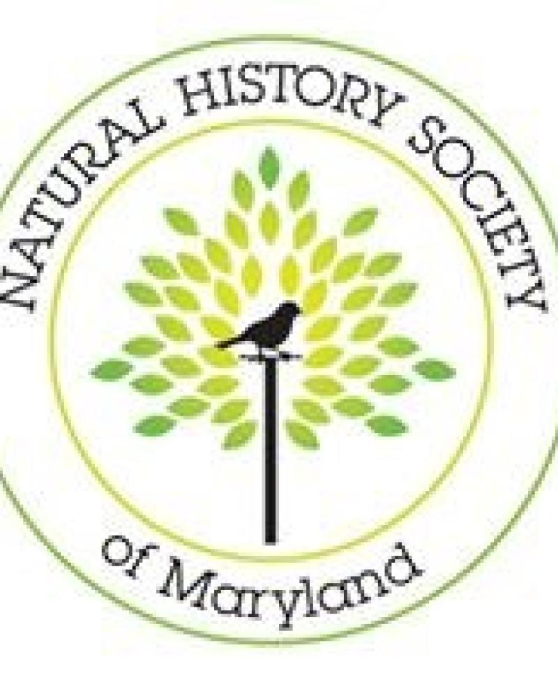 The Natural History Society of Maryland logo Photo