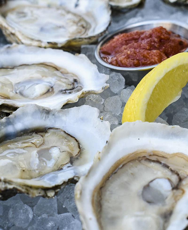 Oyster platter Photo