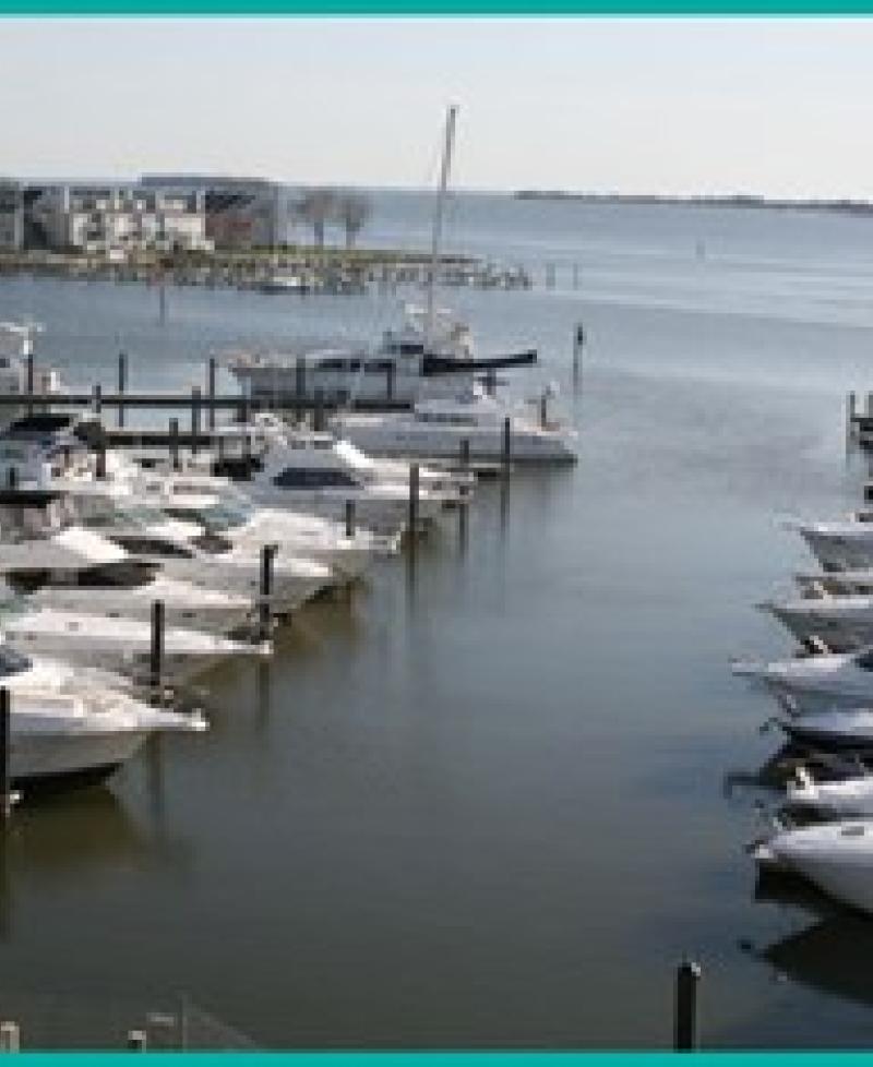Wells Cove Marina aerial view Photo