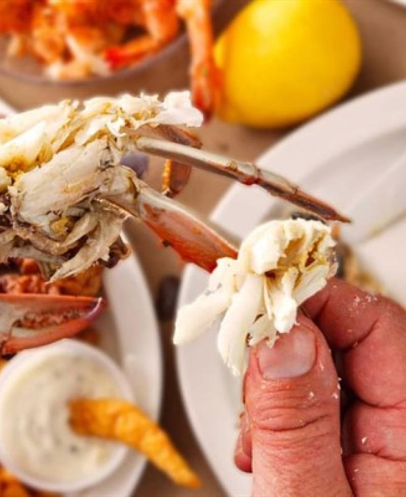 crab picking Photo