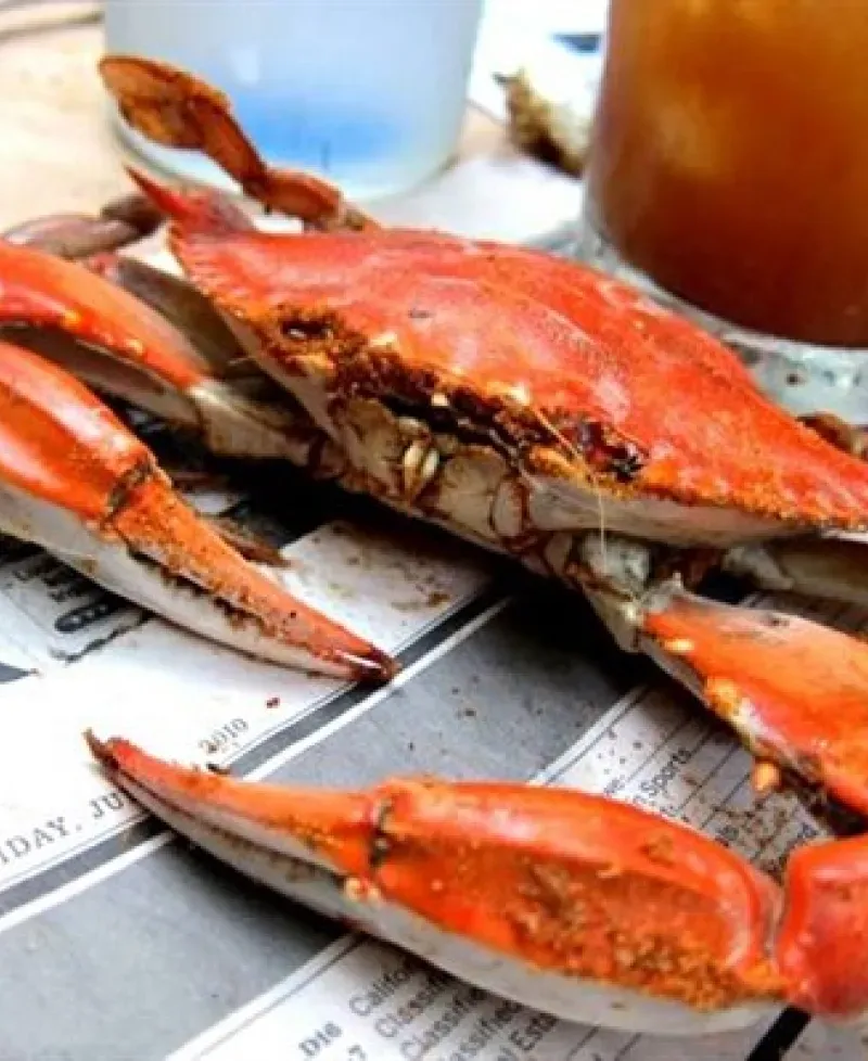 steamed crab Photo
