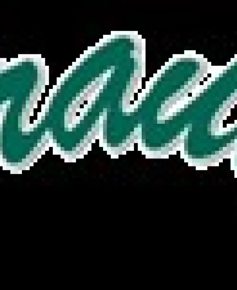 Graul's market logo Photo