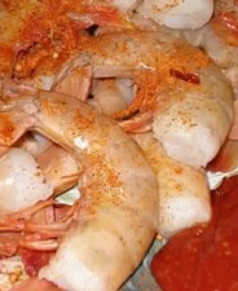 Shrimp Photo