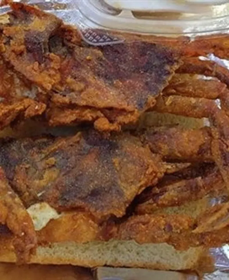 crabs Photo