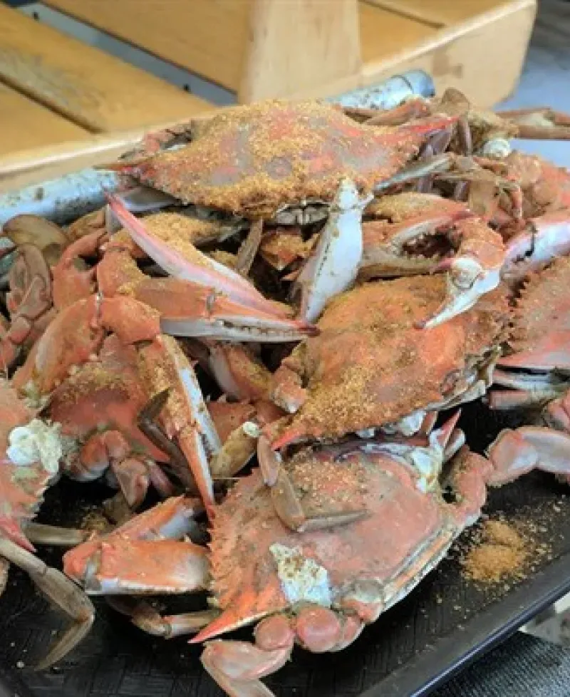 Crabs Photo