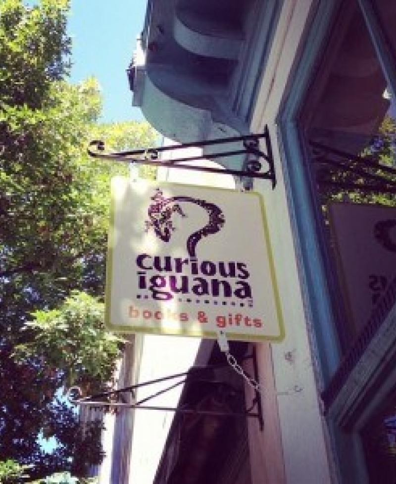 Curious Iguana Photo