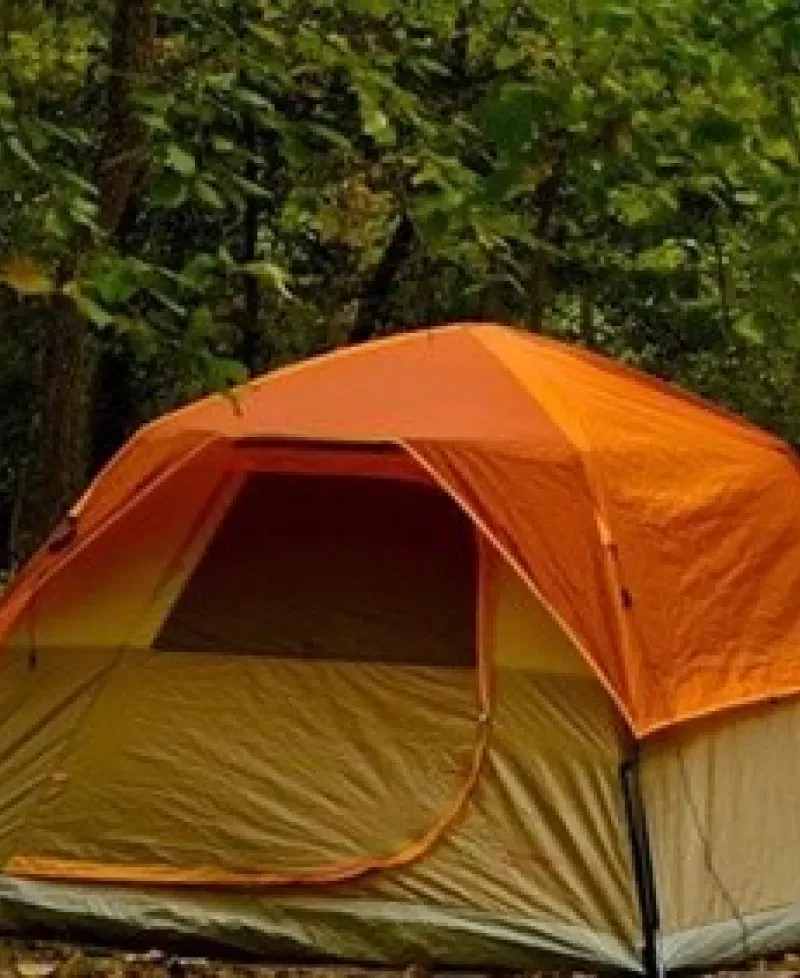 Tent in campground Photo