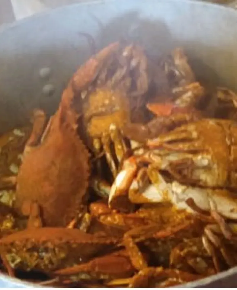 Crabs Photo
