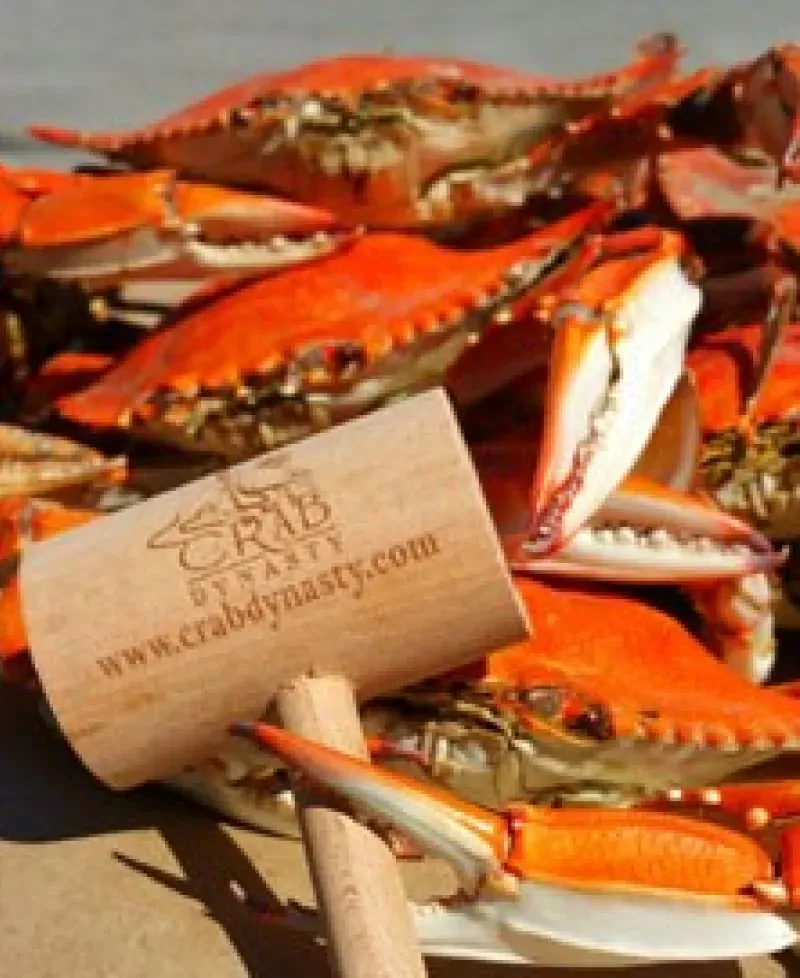 Maryland Crabs Photo
