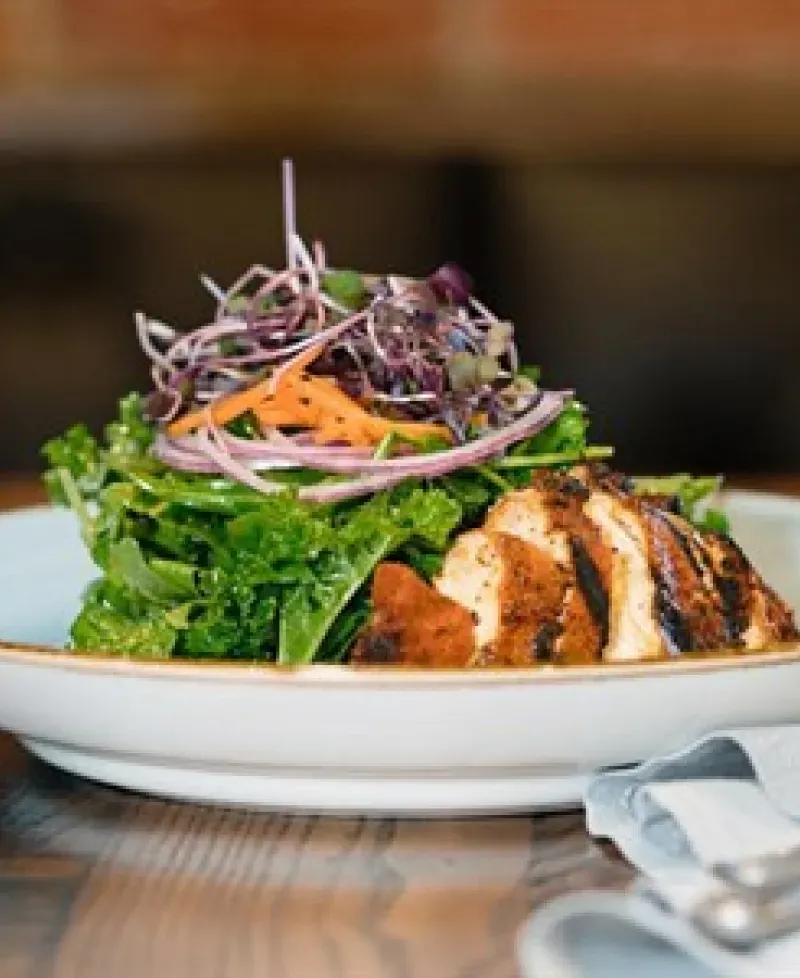 Salad with Chicken Breast Photo