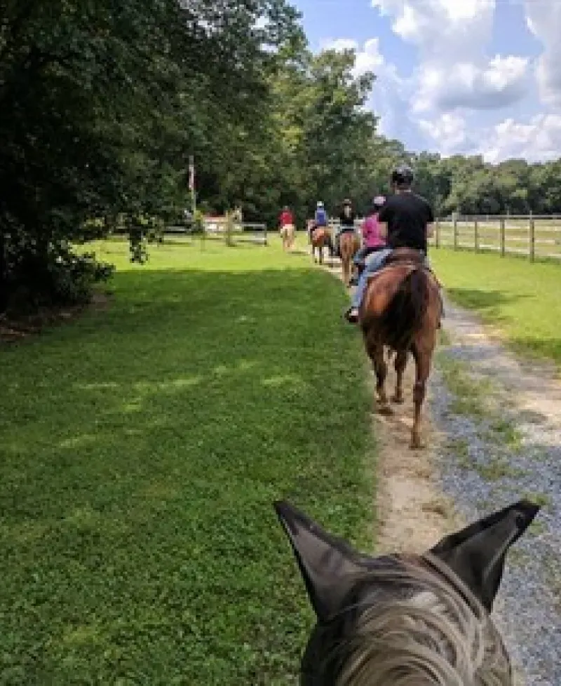 Holly Ridge Farm  Photo