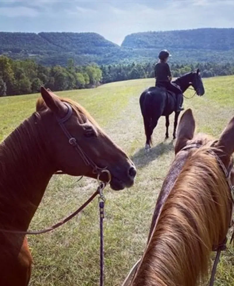 Horse Riders Photo