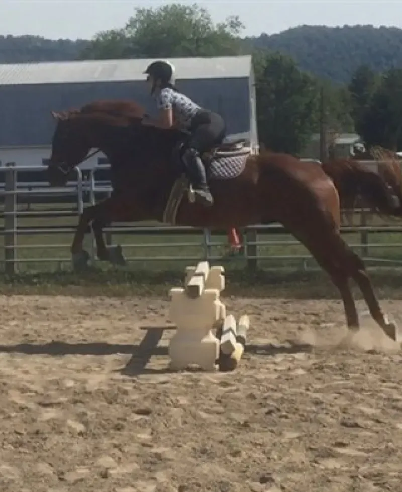 Mexico Farms Equestrian Center Photo