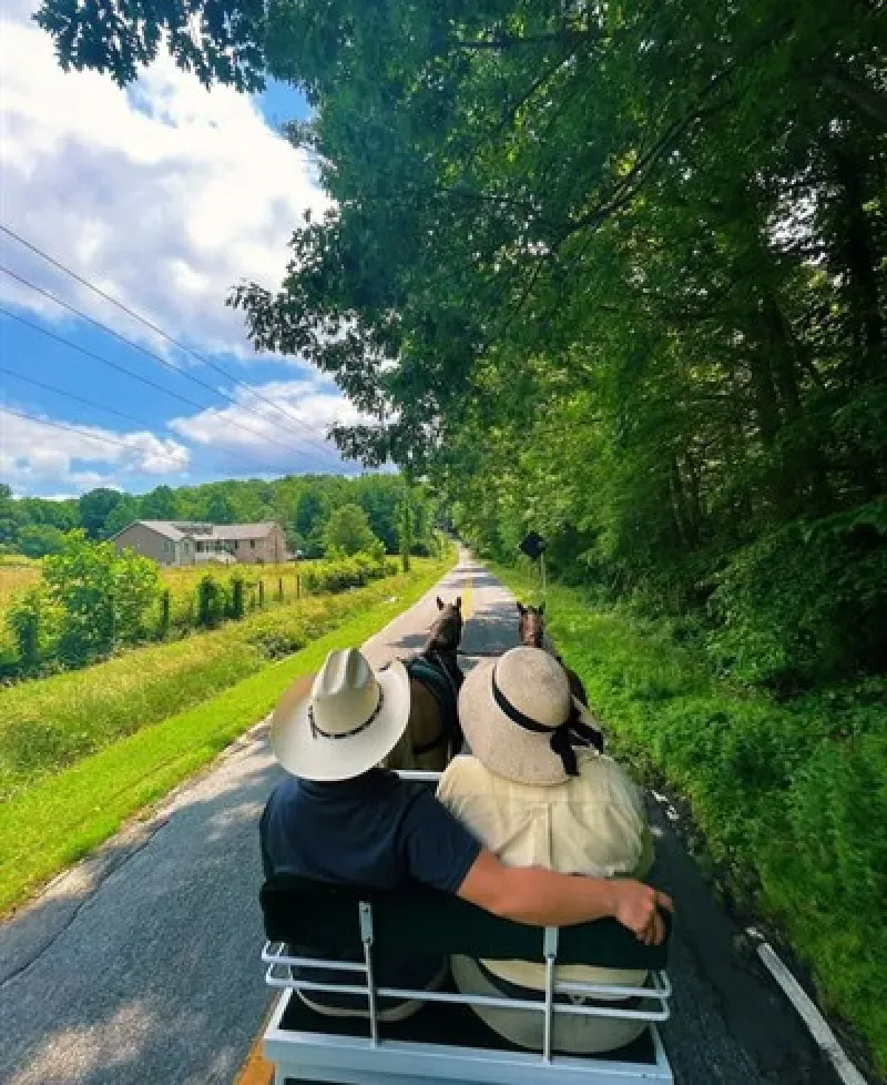 two horses pull a carriage on beautiful country roads Photo