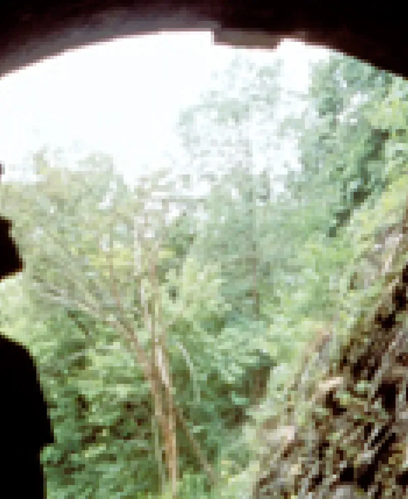 Paw Paw Tunnel Photo