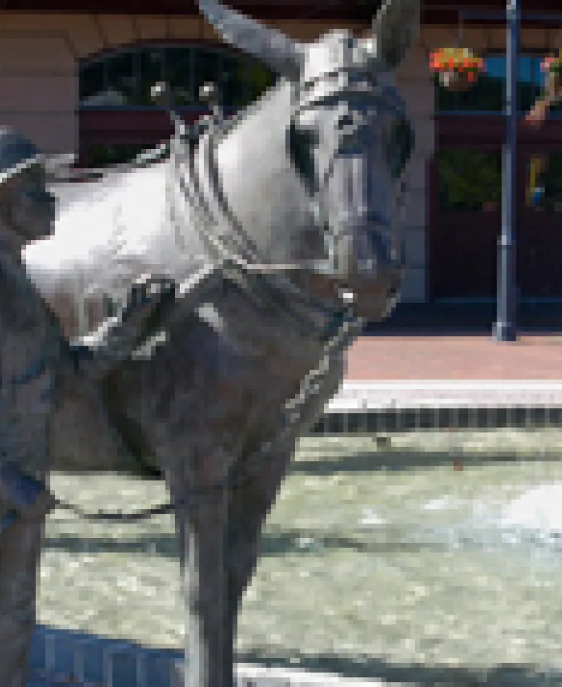 Statue of boy and donkey Photo