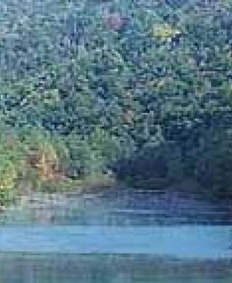 Savage River State Forest Photo