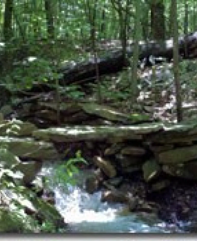 Dans Mountain State Park Photo