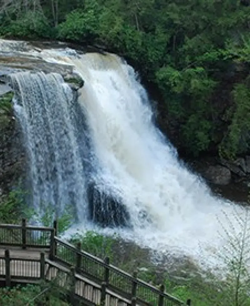 swallow falls Photo