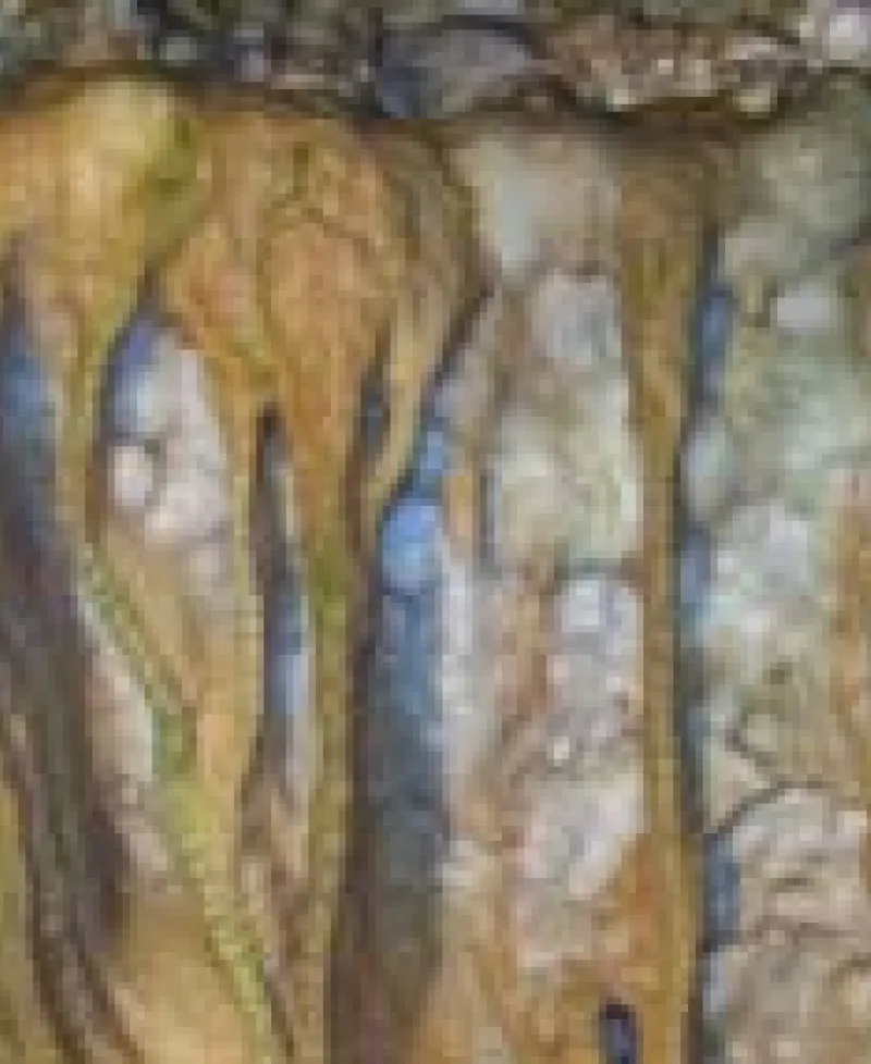 Stalagtites at Crystal Grottoes Caverns Photo