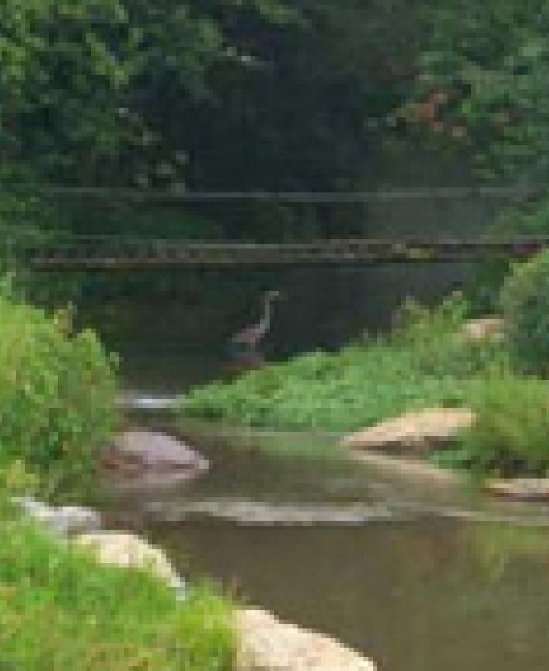 Albert Powell Trout Hatchery