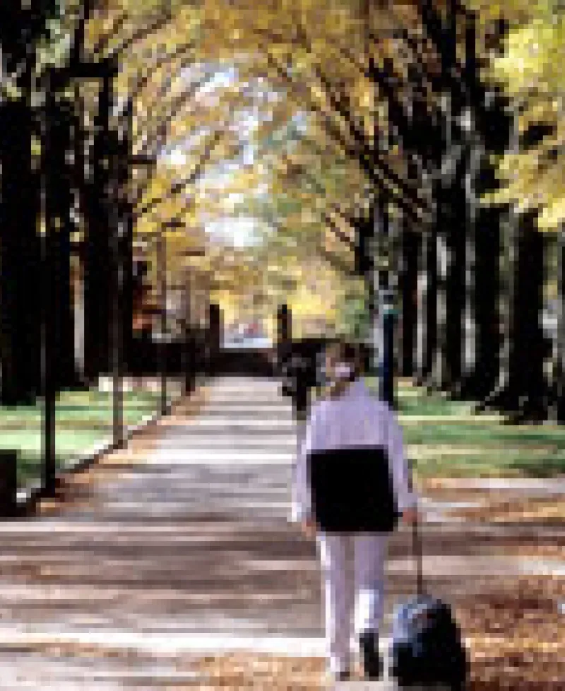 Student walking on tree lined path Photo
