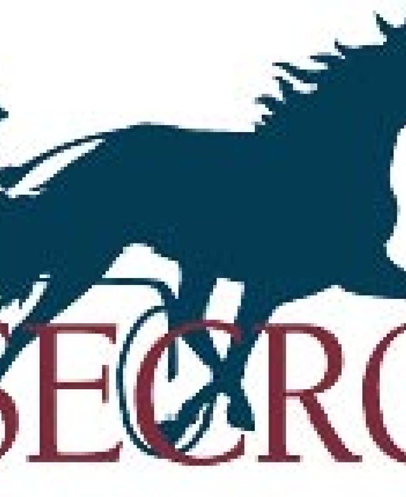 Rosecroft Raceway Photo
