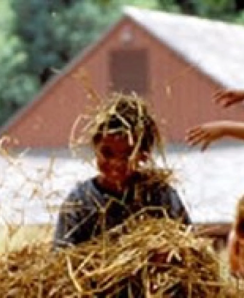 Children in hay Photo