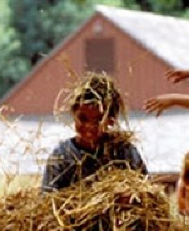 Children in hay Photo