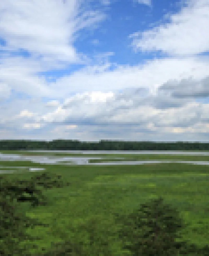 Merkle Wildlife Sanctuary Photo