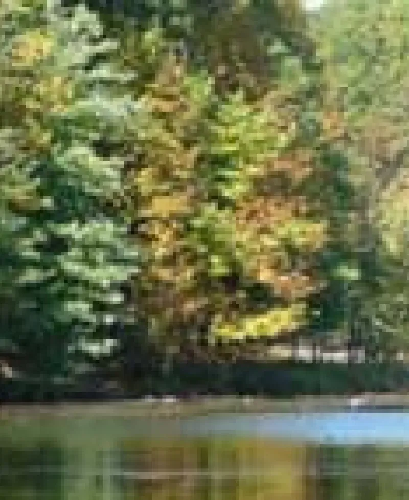 Seneca Creek State Park Photo