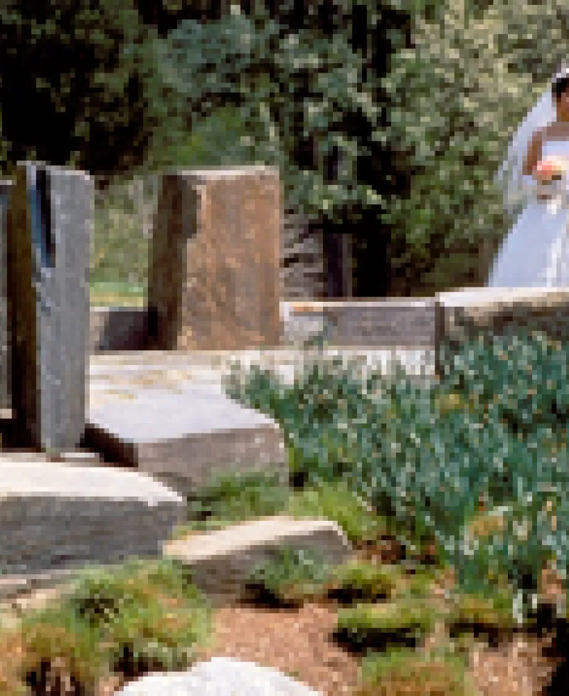 Brookside Gardens wedding Photo